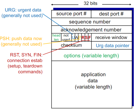 TCP header